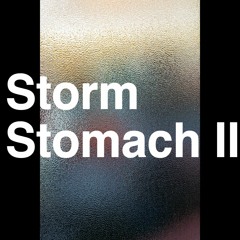 Storm Stomach II