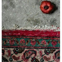 Parvaz Homay - Yaldaye Parishan [320] ( GandomMusic.ir ).mp3 یلدای پریشان پرواز همای