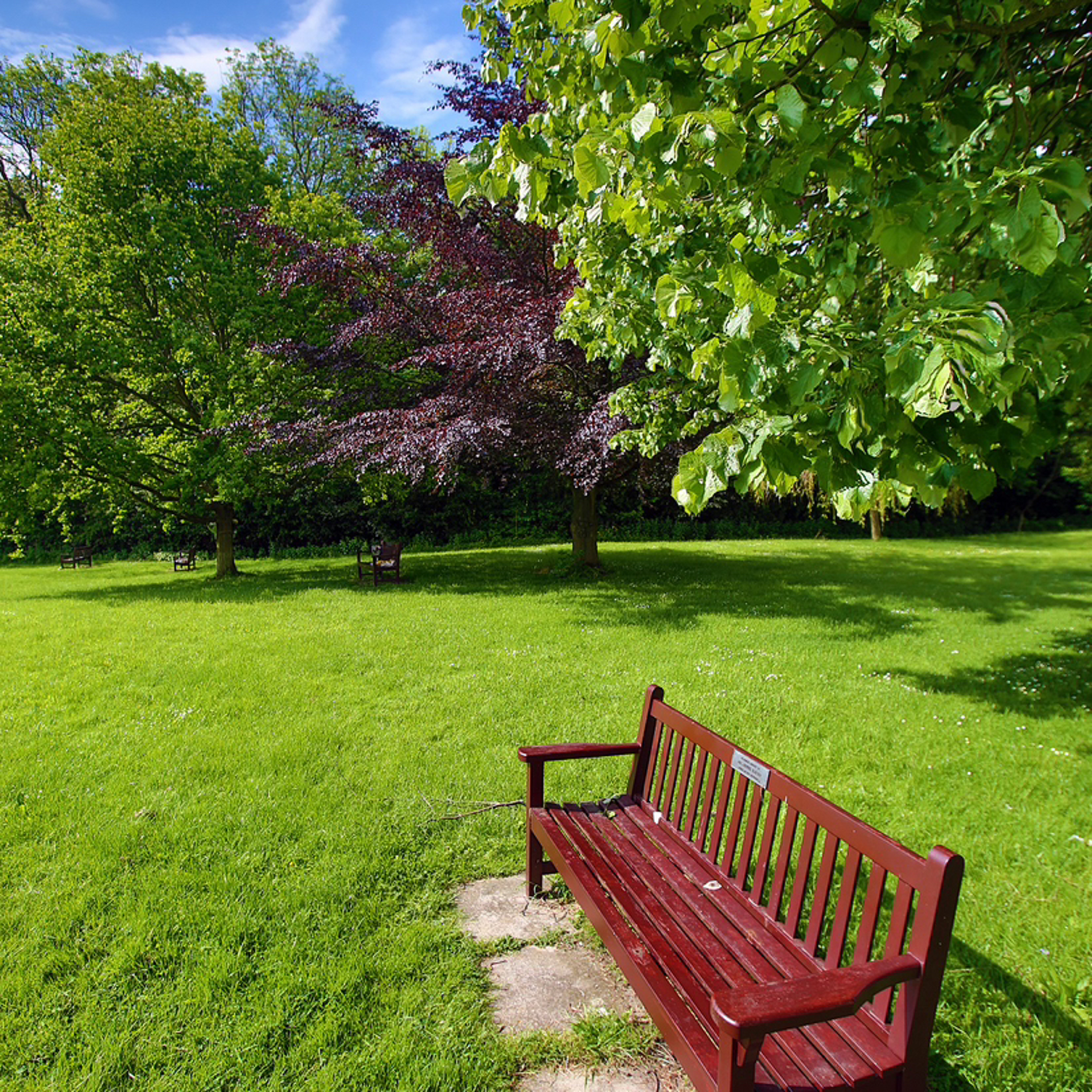 Local News Headlines - Wednesday, 17 July 2024