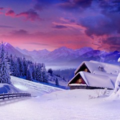 Sparta Winterfall Mix