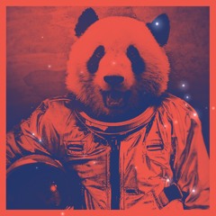 Chips n'Salsa  : Space Panda Mix