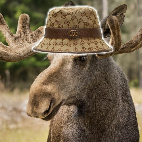 gucci cowboy hat