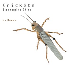 Crickets Licensed to chirp