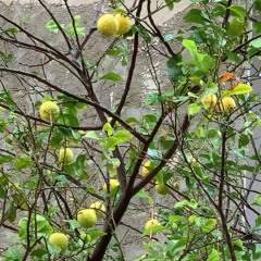 مدونة افكار وخربشات