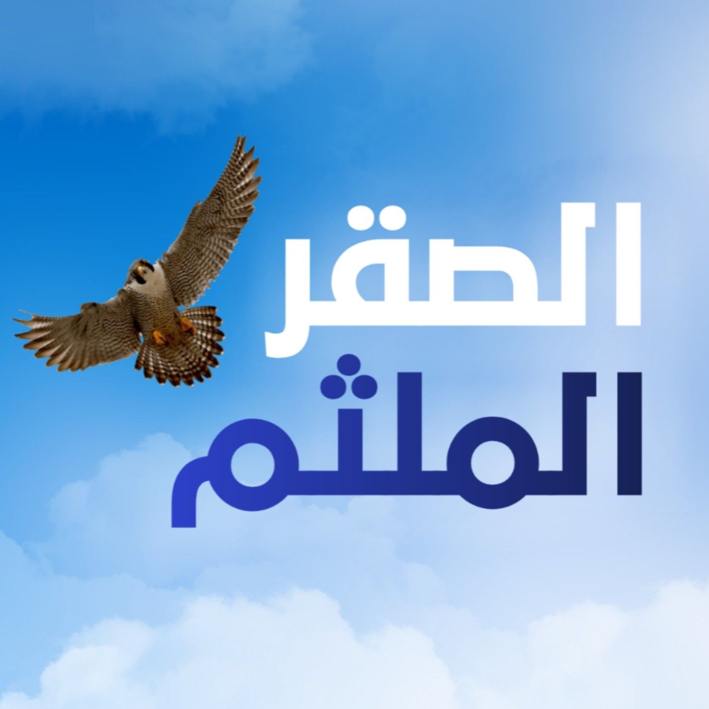 أنشودة الصقر الملثم غرباء