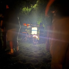 Will Hofbauer - Diiiing [L.E.G.G.O.-Block voiceover]