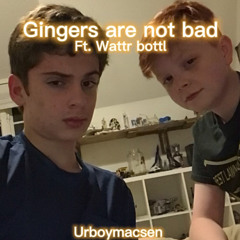 Gingers are not bad ft. wattr bottl