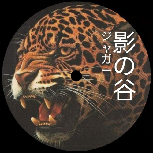 Origin Unknown - Valley Of The Shadows ('24 Jaguar remix)