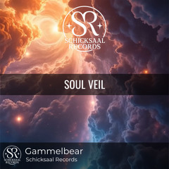 Soul Veil