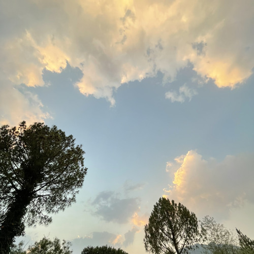 Feeling good - Micheal Buble (Cover)