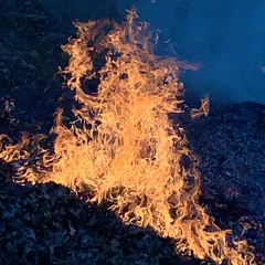 ABSENCE - BUS (PROD: Slim T))