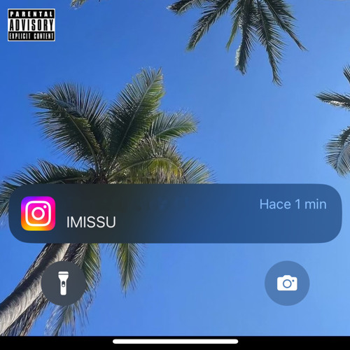 IMISSU