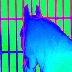 Stream Mi Suta Music Listen To Songs Albums Playlists For Free On Soundcloud