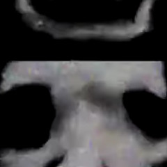 #interpolation (dm @raytracebypass for dis beat)