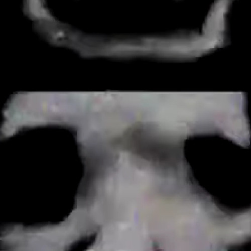 #interpolation (dm @raytracebypass for dis beat)