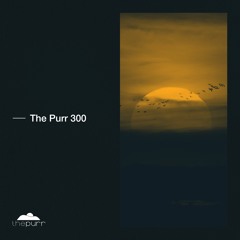 Proton Radio // The Purr Showcase 300 Releases