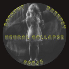 NEURAL COLLAPSE