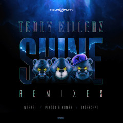 Teddy Killerz - Shine (Intercept remix)