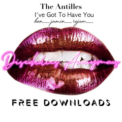 FREE DOWNLOAD: The Antilles - I've Got To Have You (Ben Jamin Re-Jam)