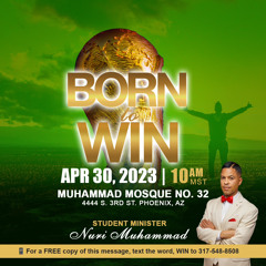 BORN TO WIN PHX