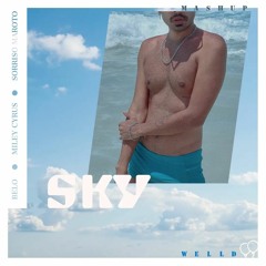 Mashup - Sky (Jaded / Engano / Desafio)