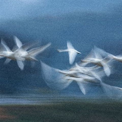 "FLIGHT" Melodic Type Beat