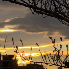 5764 Not Like Before