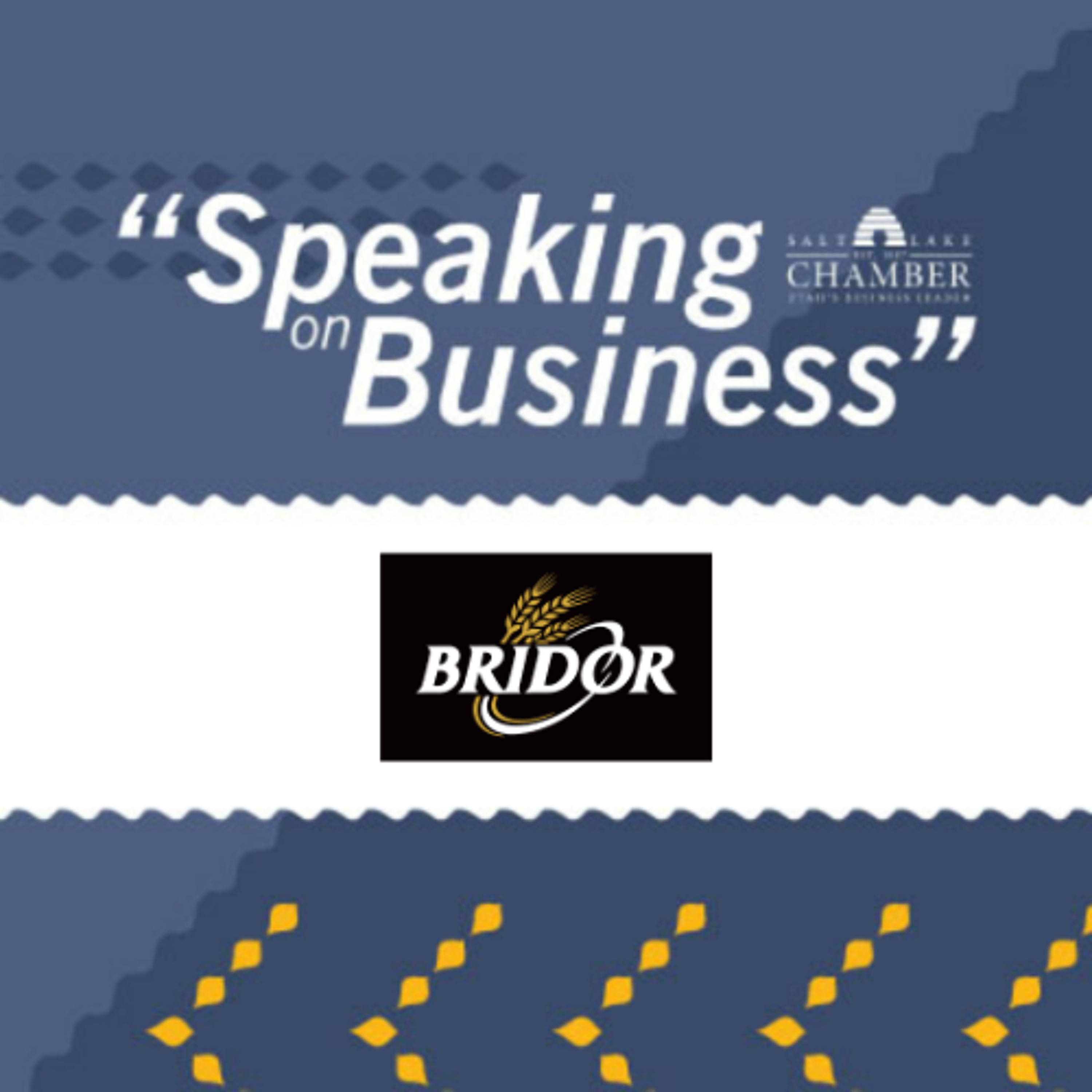 Speaking on Business: Bridor episode artwork