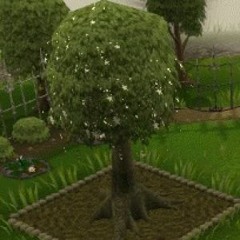 Osrs Gf 4 Gp!