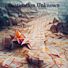 Destination Unknown (ft. Donnie Ozone)