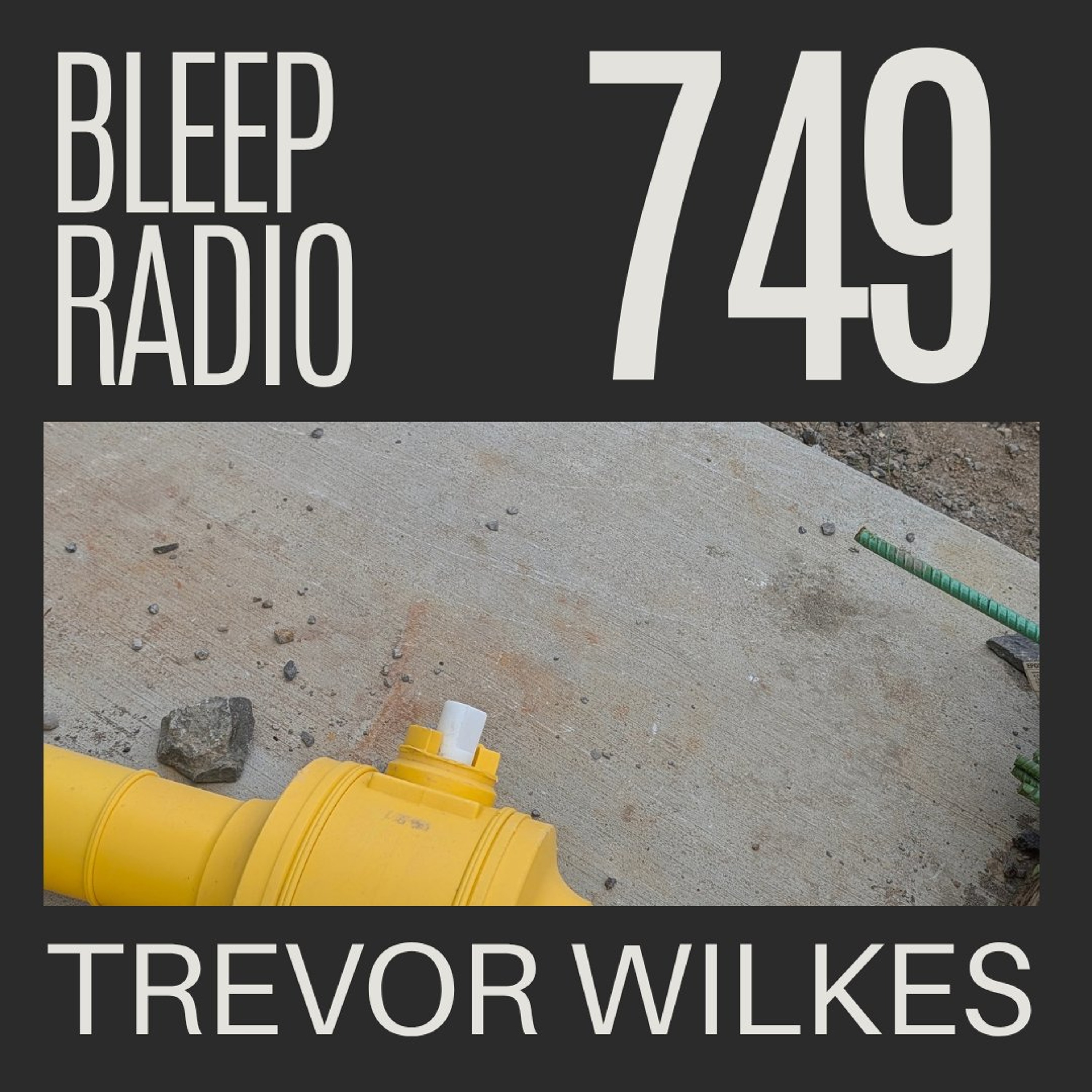 Bleep Radio #749 - Trevor Wilkes [Delayed Gratification] episode artwork