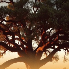 Live a little, Laugh a little more