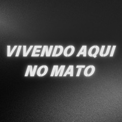 VIVENDO AQUI NO MATO