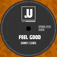 Danny J Lewis - Feel Good (Radio Edit)