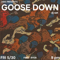 Goose Down @ c900 Chicago (05-30-25)