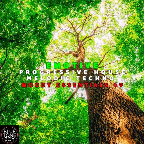 Moody Essentials 69 ~ #ProgressiveHouse #MelodicTechno Mix