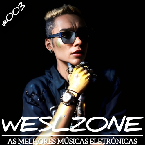 WESLZONE SET MIX 2025 | AS MELHORES DO VINTAGE CULTURE, DUBDOGZ & DIRTY PRYDZ. #003