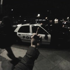 i ain't never ran from nothing but the police