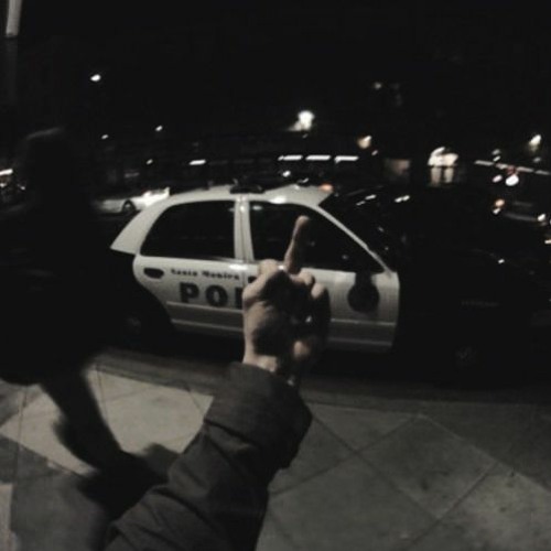 i ain't never ran from nothing but the police