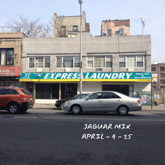Jaguar Mix 4/4/25