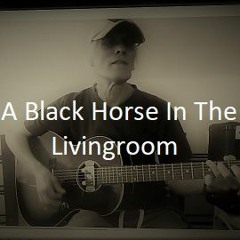 A Black Horse In The Livingroom