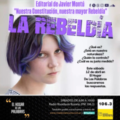 EDITORIAL DE JAVIER MONTÚ - NUESTRA CONSTITUCIÓN, NUESTRA MAYOR REBELDÍA - EHDLP 12 DE ABRIL DE 2025