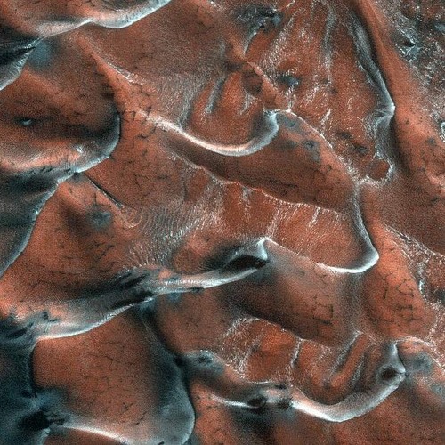 PRYZD - MAGNETIC FIELD (MARS VIP)