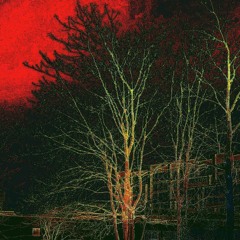 the ritual of the shadows
