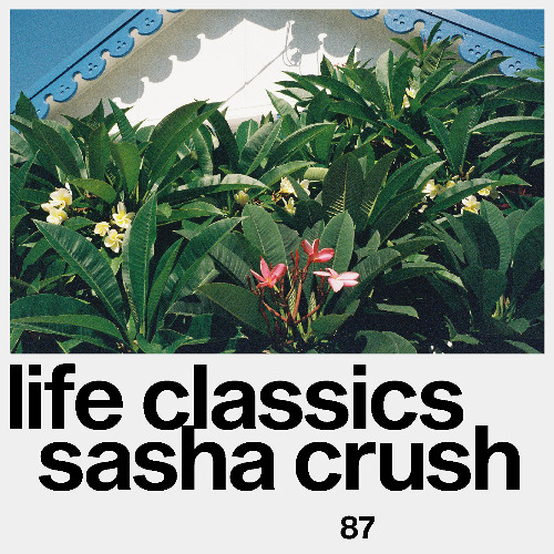 LIFE CLASSICS 87 SASHA CRUSH