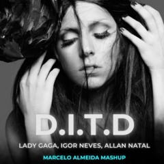 FREE Gaga, Allan Natal, Igor Neves - Dance In The Dark (Marcelo Almeida Mash)