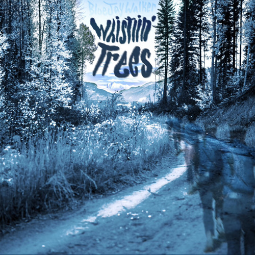 whistlin' Trees by Blue Jay Walker
