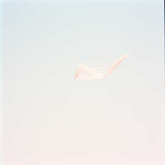 儚い光 (Fleeting Light)