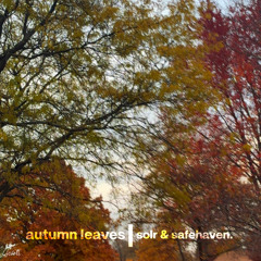 solr - leaves (idly blare)