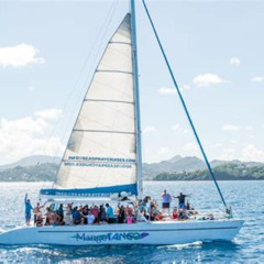 Review Special Price St Lucia Fullday Catamaran Sightseeing Cruise With Snorkeling